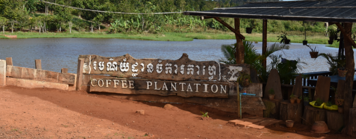 Mondulkiri Coffee Plantation