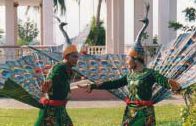 Pailin Peacock Dance